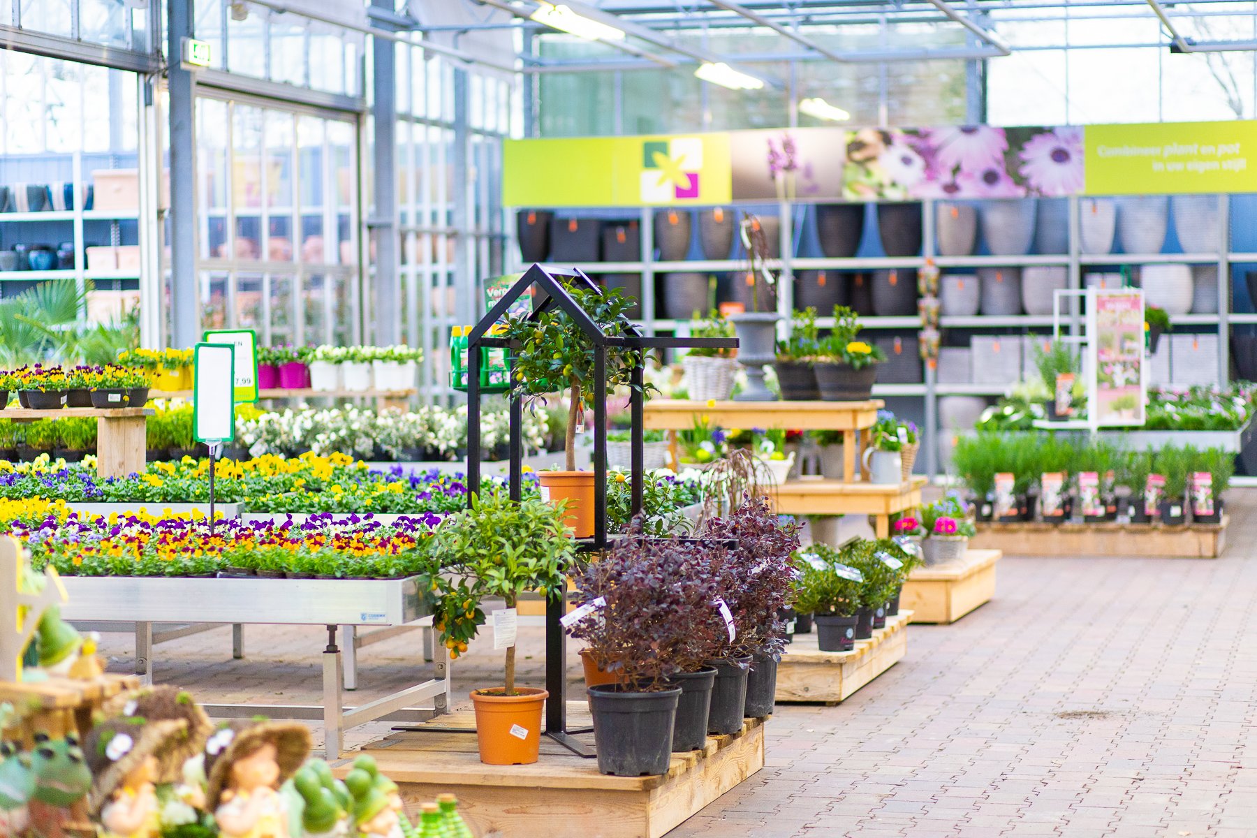 Seizoensplanten Seizoensplanten