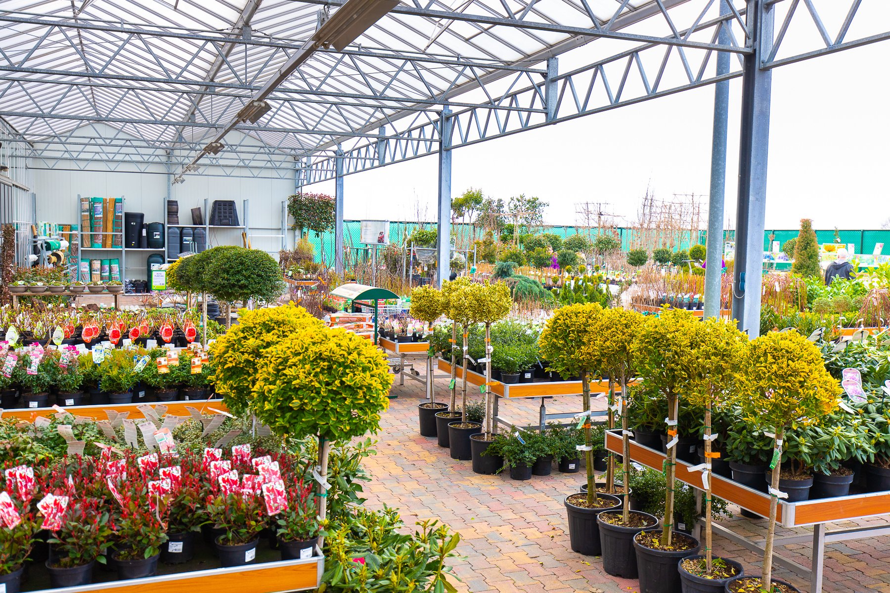 Tuinplanten Tuinplanten