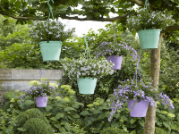 Tuincentrum De Nieuwstad