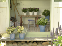 Tuincentrum De Nieuwstad